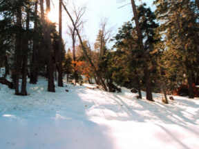 Open fields perfect for hiking at chezbear cabin in big bear lake
