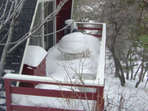 The cabin offers 2 decks with views of the national forest.